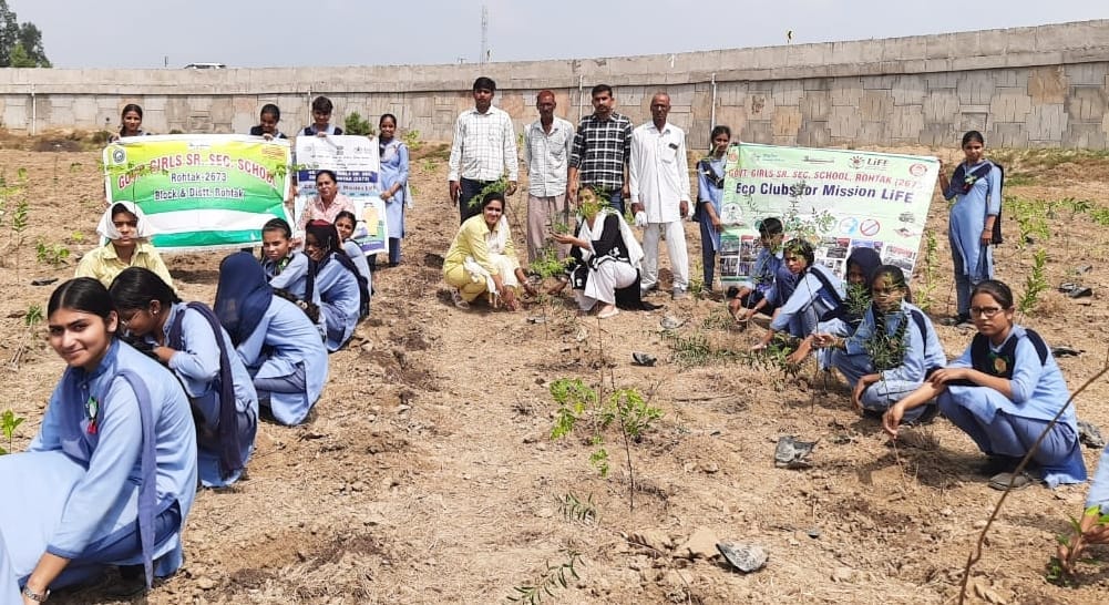 Eco Club carried out a tree plantation drive near Makrauli toll plaza.