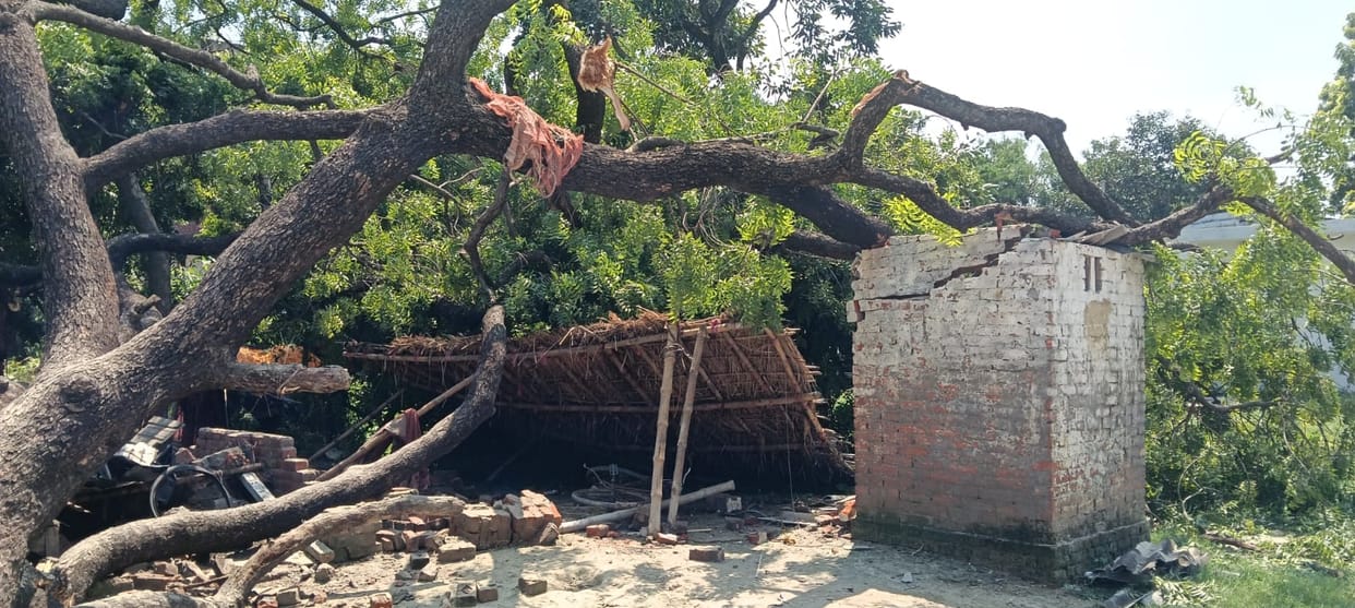 Tree fell on the house during the rain