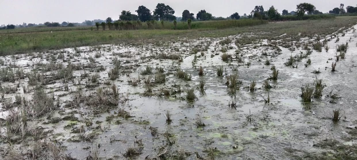 The Ganges is receding; villagers' difficulties are mounting.
