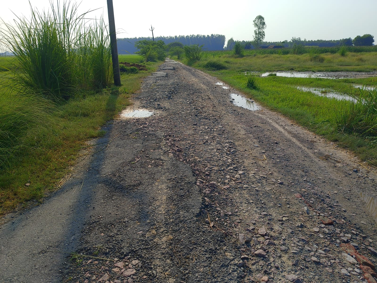 फोटो-5- उखड़ा पड़ा ढिकियापुर-घसा का पुरवा मार्ग। संवाद
