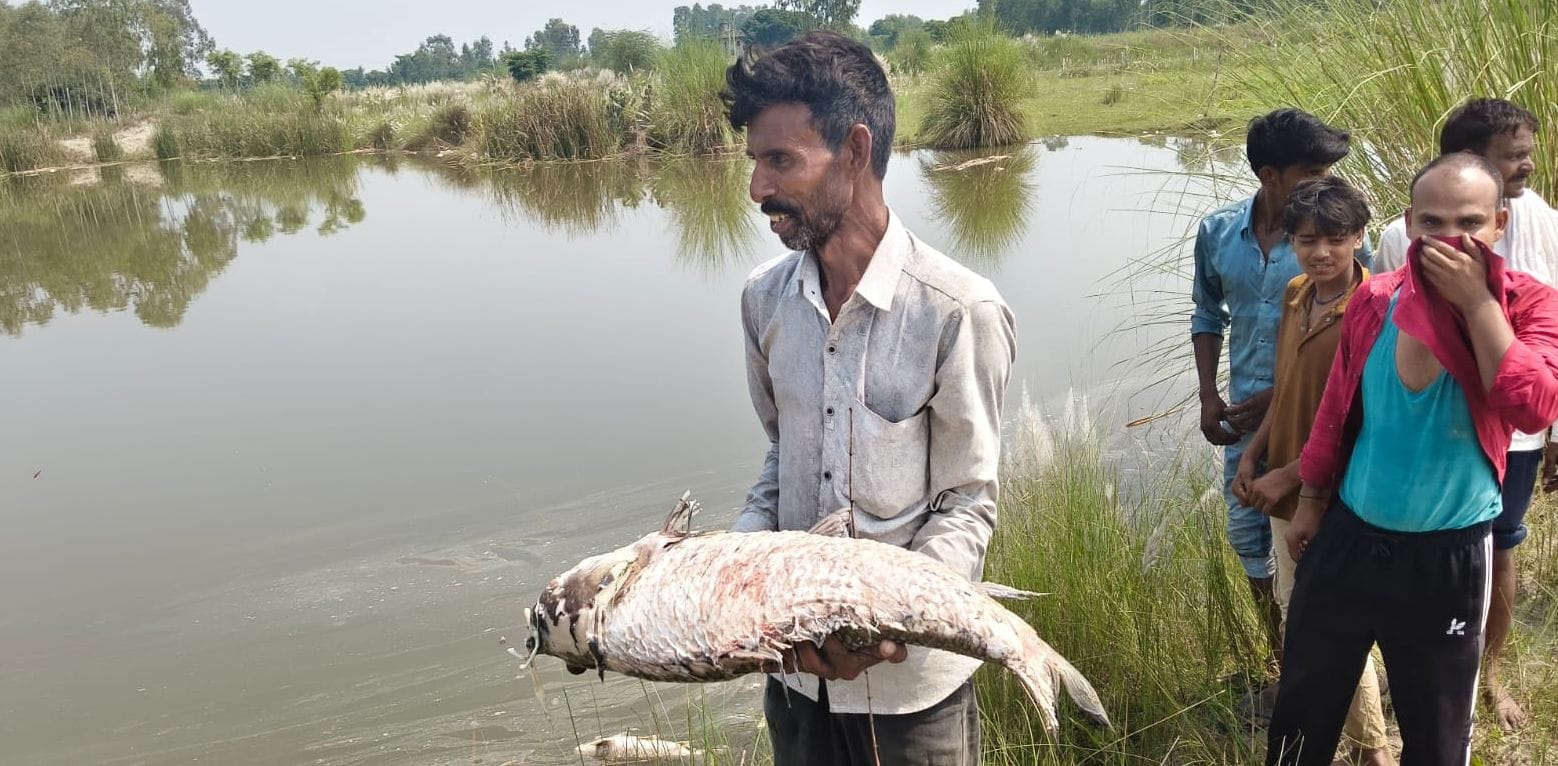 फोटो31सोरोंजी के मानपुर नगरिया में तालाब में मरी मछली को दिखाते रामपाल। संवाद