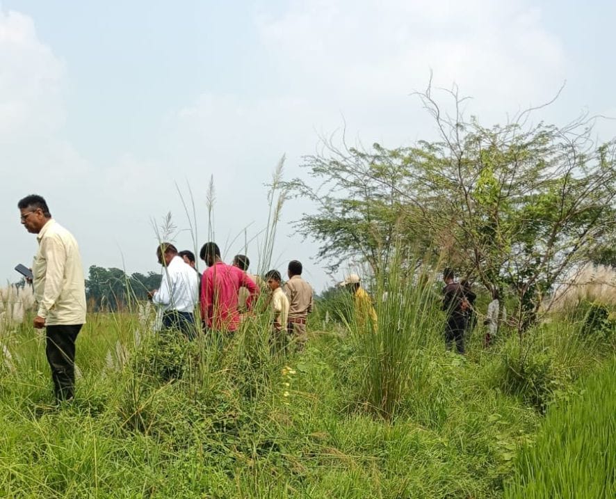 जयसिंहपुर के परसौहा गांव में वन्य जीव की तलाश करते ग्रामीण। स्रोत-ग्रामीण