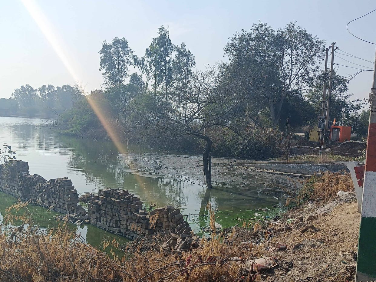 Piles of garbage in the pond near the government school in Pyauda.