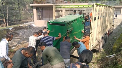रेणुकाजी मिनी जू में टाइगर को उतारते विभाग के कर्मचारी। संवाद