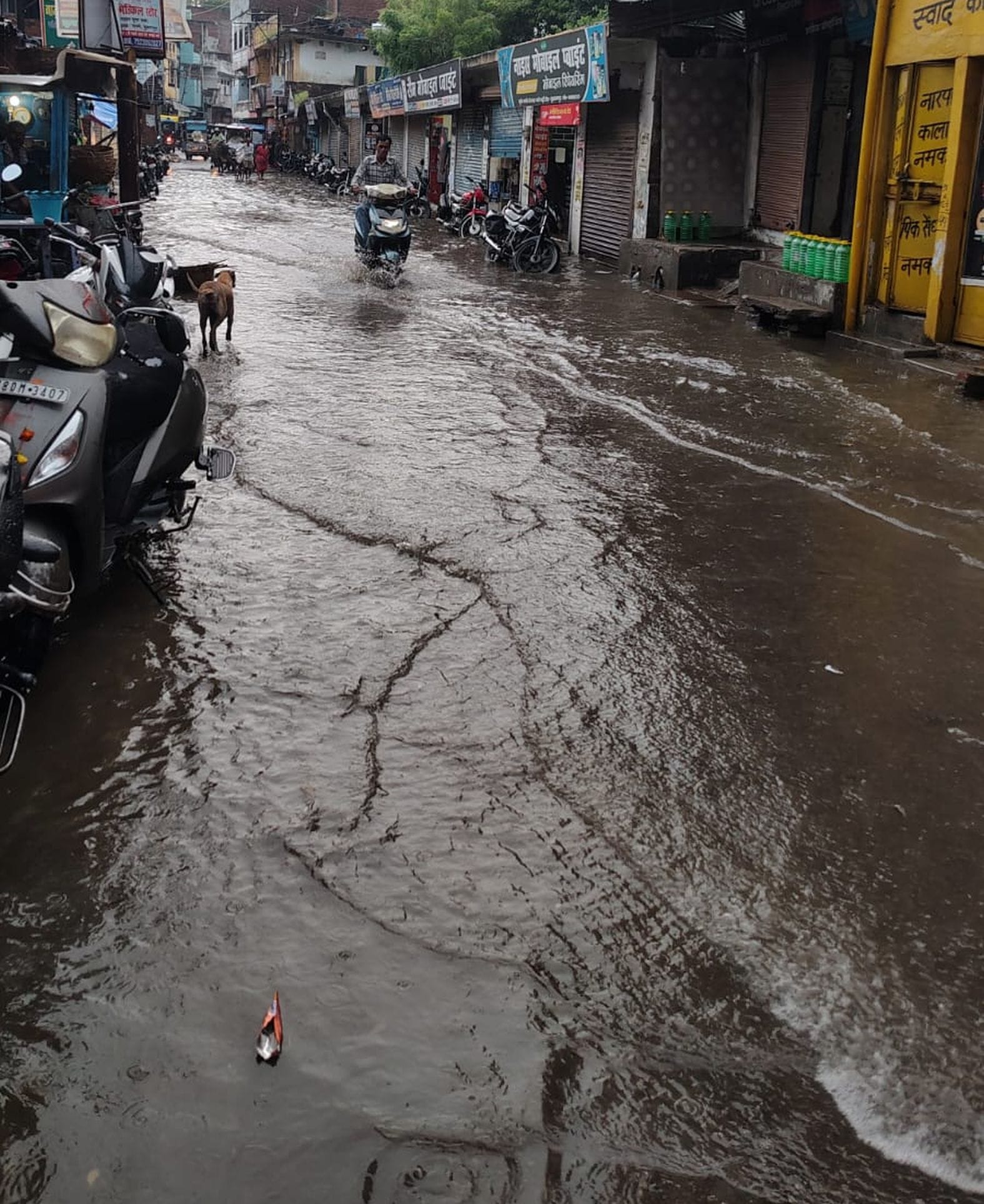 शहर में शनिवार शाम हो रही बारिश। संवाद