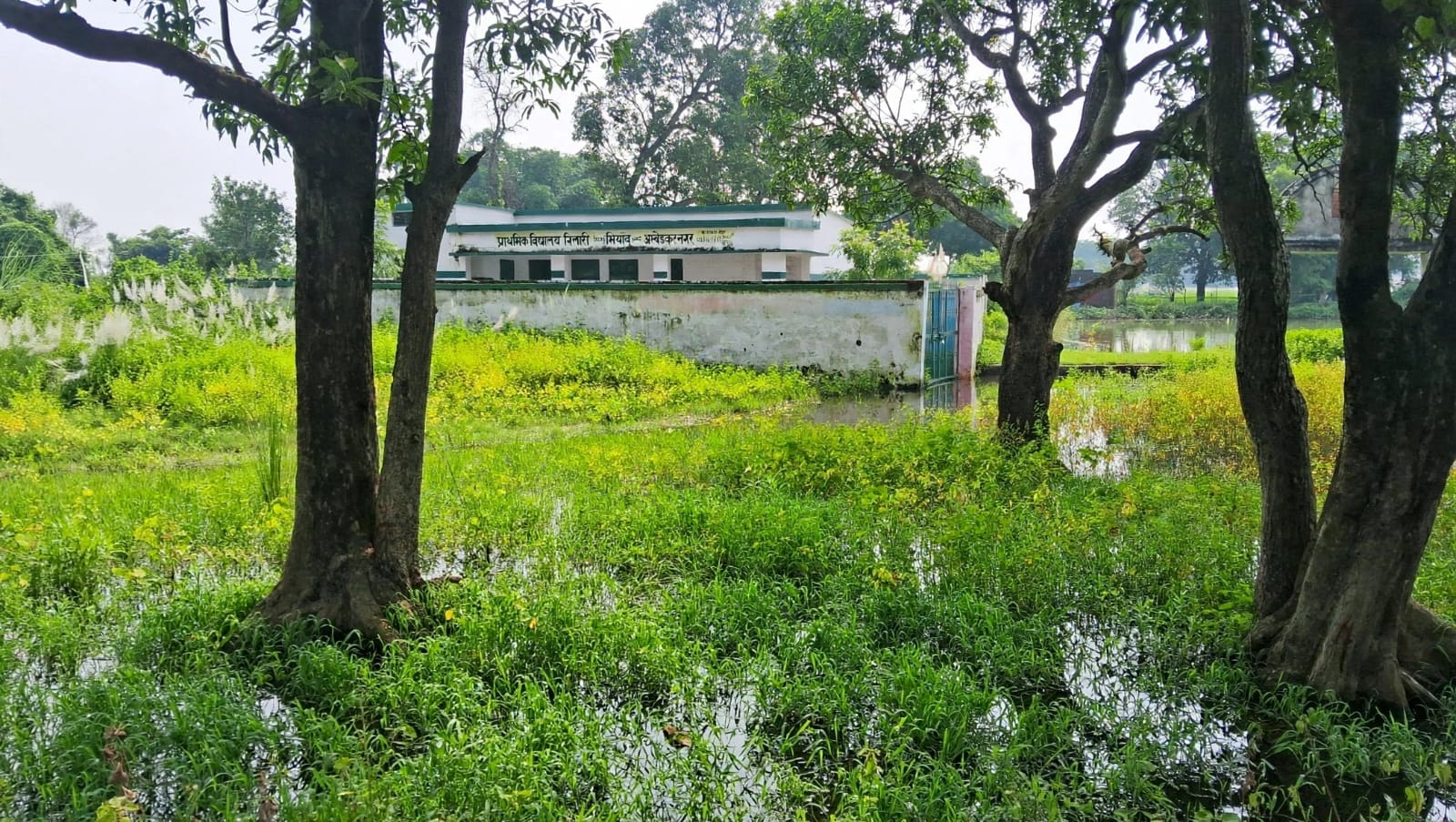 विकासखंड भियांव की ग्राम पंचायत बिलारी में पानी से घिरा प्राथमिक विद्यालय। संवाद