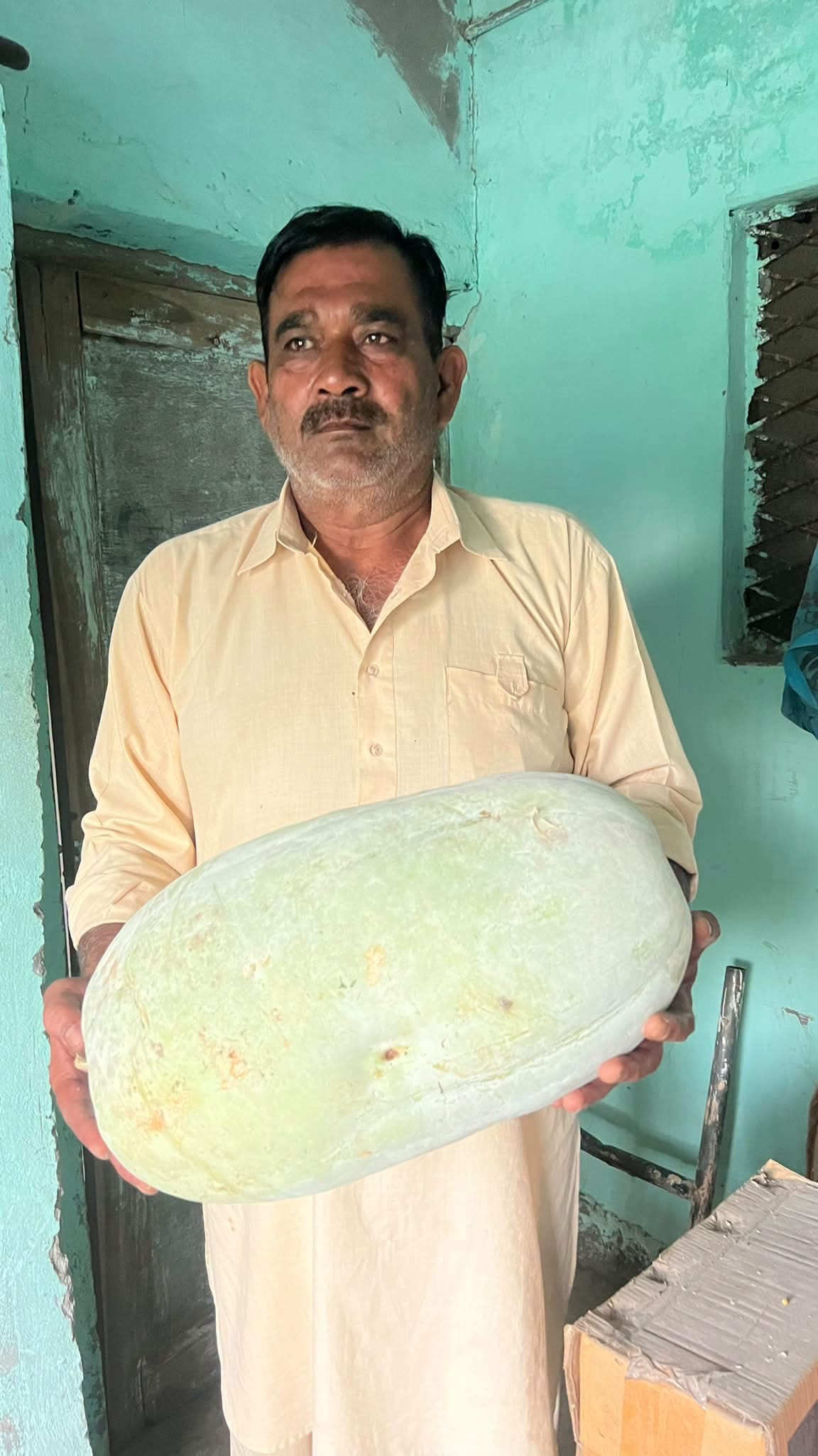 Bumper ash gourd crop ready in the fields, but no buyers found.