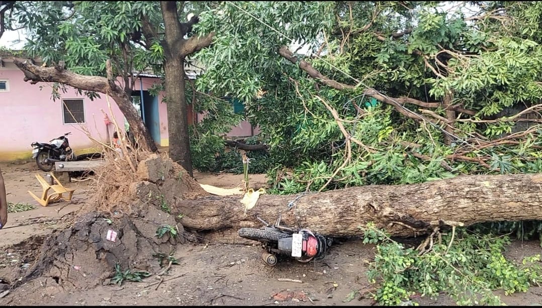 Power out for 18 hours after 10 trees and six electricity poles fell during the storm.