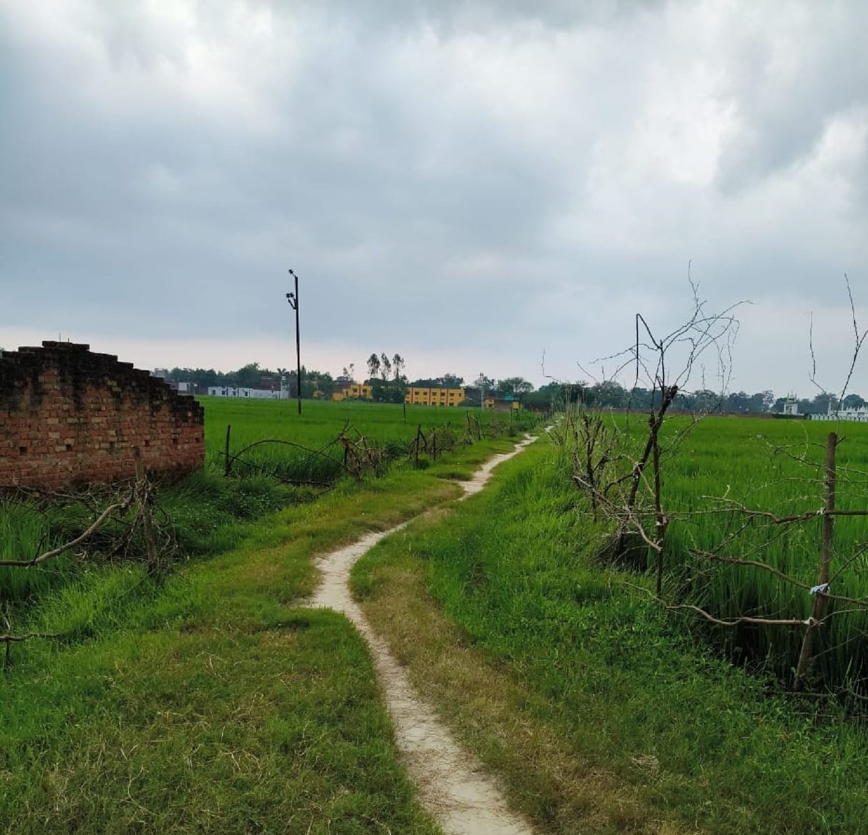A 1,200-meter-long connecting road will definitely be built.