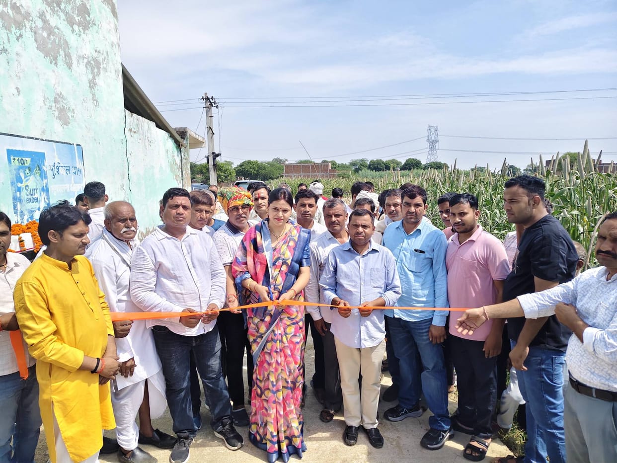 District Panchayat President inaugurated development works.