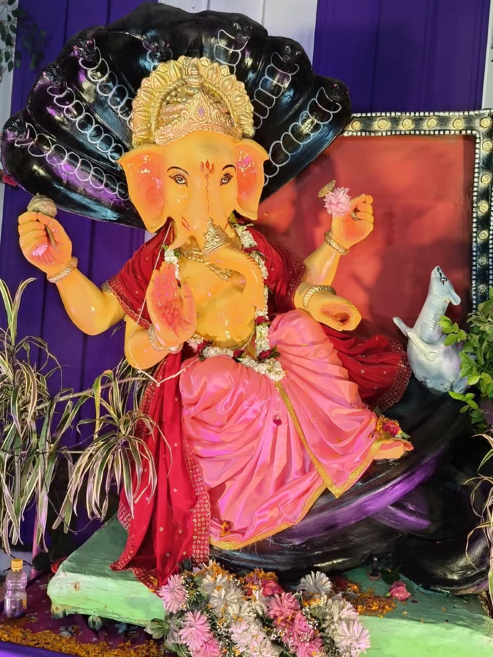 Ganeshotsav celebrations in full swing; pandals echoing with chants hailing the son of Gauri.