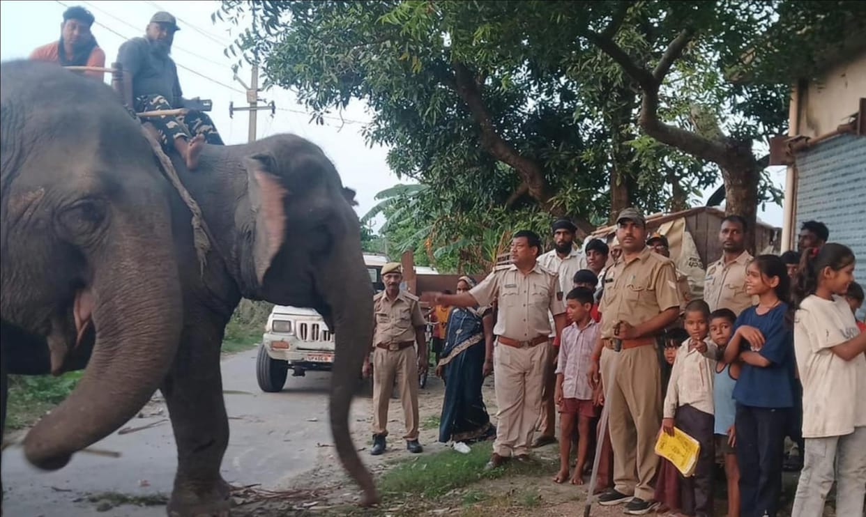 Jayamala and Champakali set out in search of the leopard.