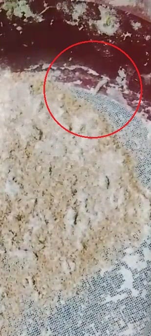 Flour distributed to consumers; insects found as soon as the sack was opened.