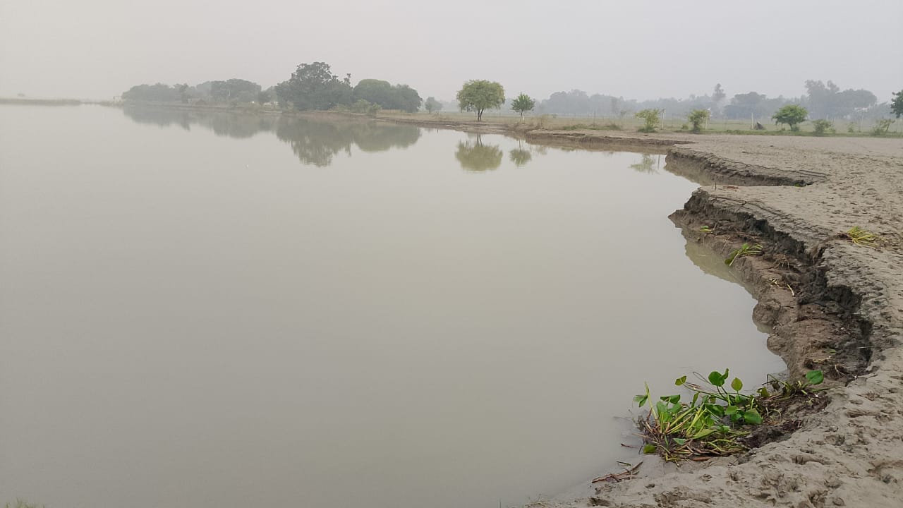 पकड़ी संग्राम गांव में हो रही कटान