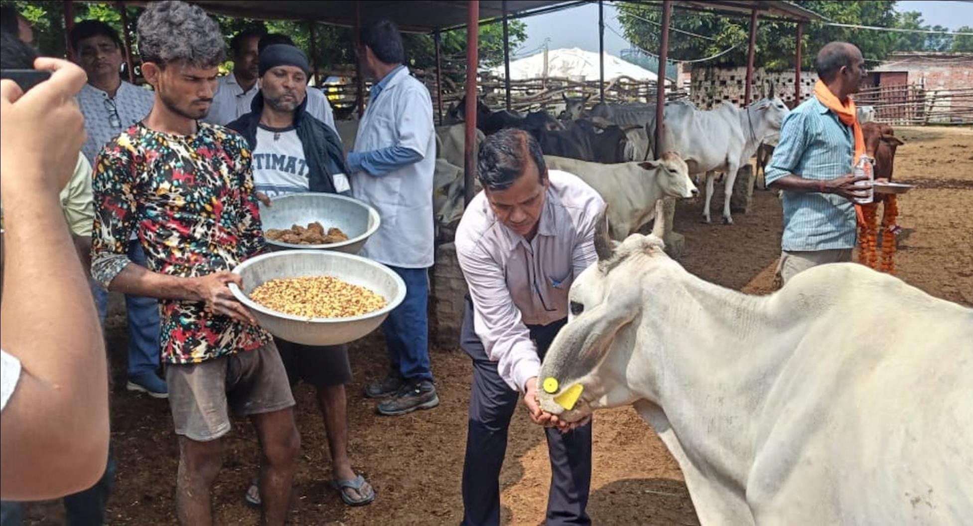 परसेंडी स्थित गो आश्रय स्थल पहुंचे पशुपालन विभाग के निदेशक राजेंद्र प्रसाद माहौर। 