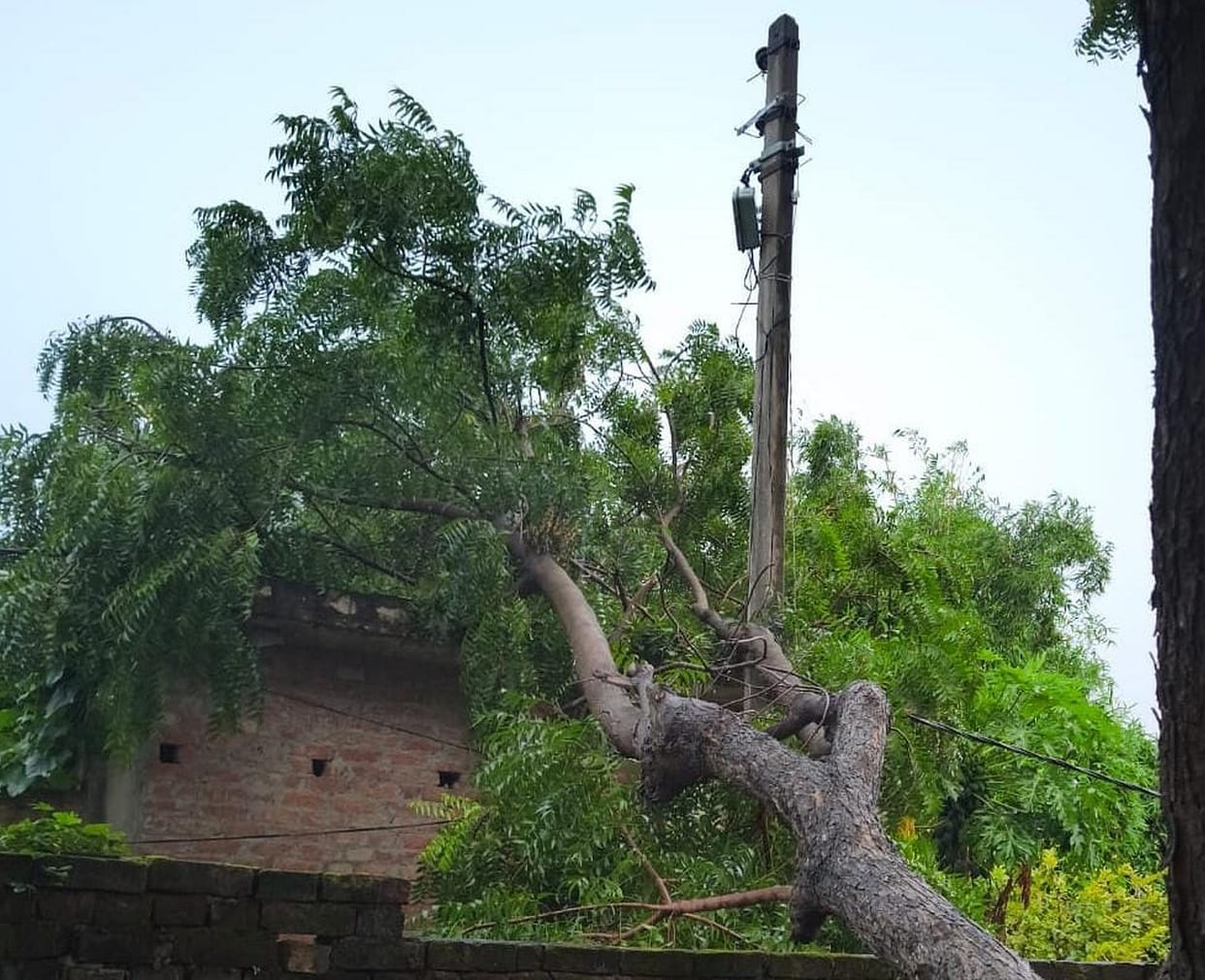 Power outage for seven hours; people left miserable in the heat.