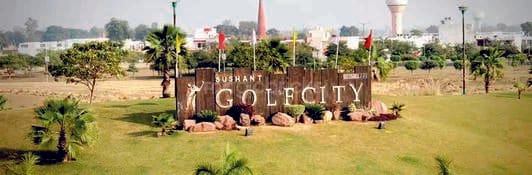 The 2,747 allotted plots in Sushant Golf City will not be cancelled.