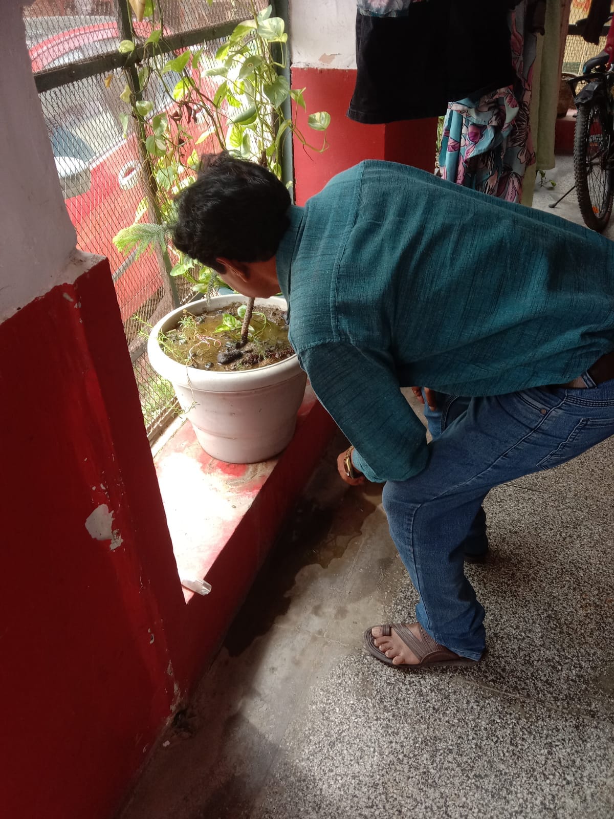 Dengue larvae found at 21 locations during inspection of 1,350 homes.