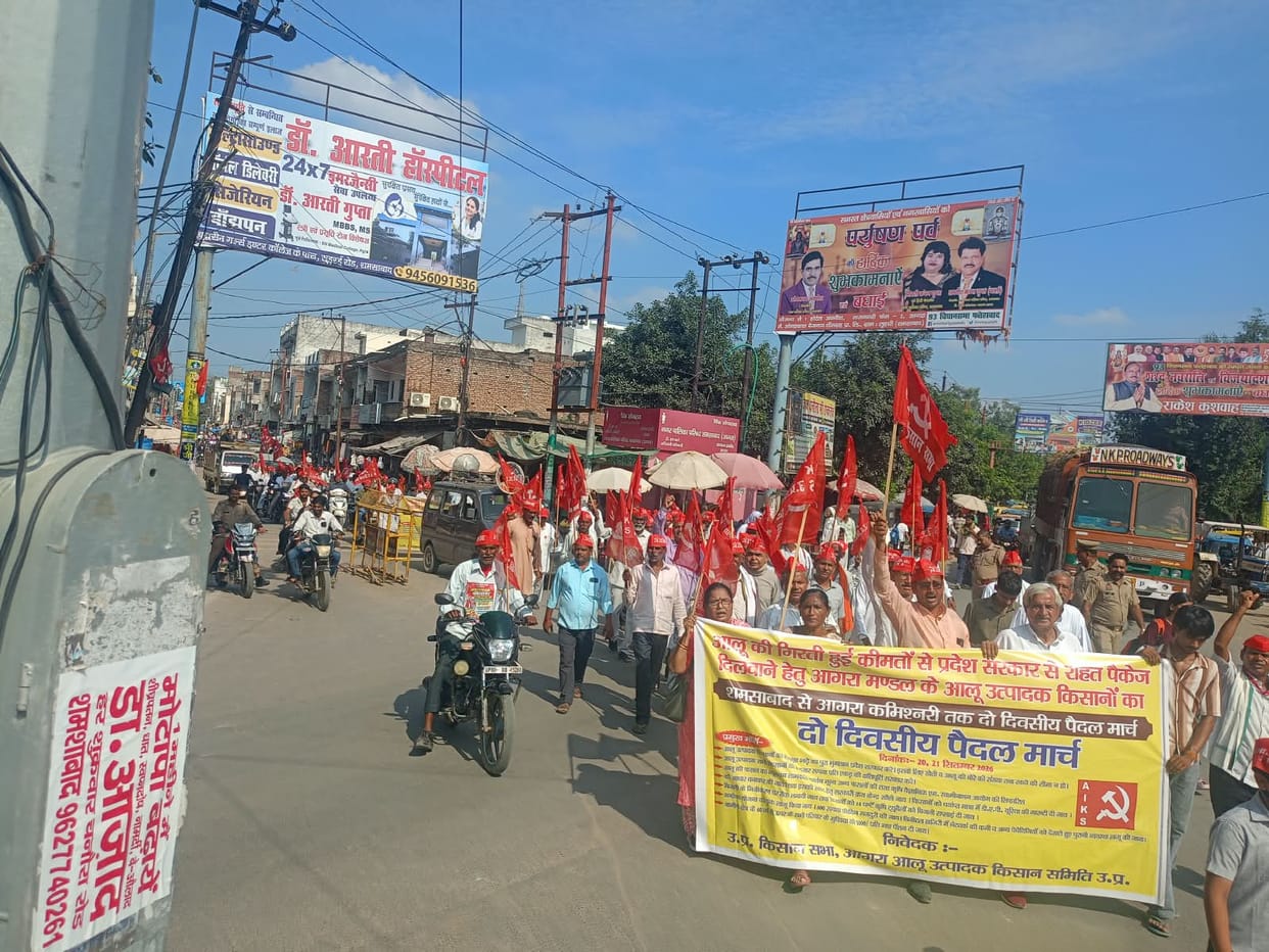 The government should procure potatoes by including them under the MSP.The government should procure potatoes by including them under the MSP.