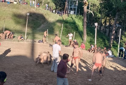टाऊधार धर्मशाला दंगल में कुश्ती करते पहलवान-संवाद