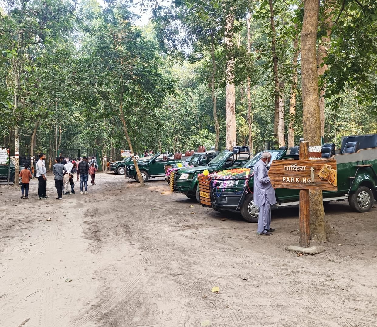 Get ready to spot tigers at Chuka; PTR is all set for jungle safaris.