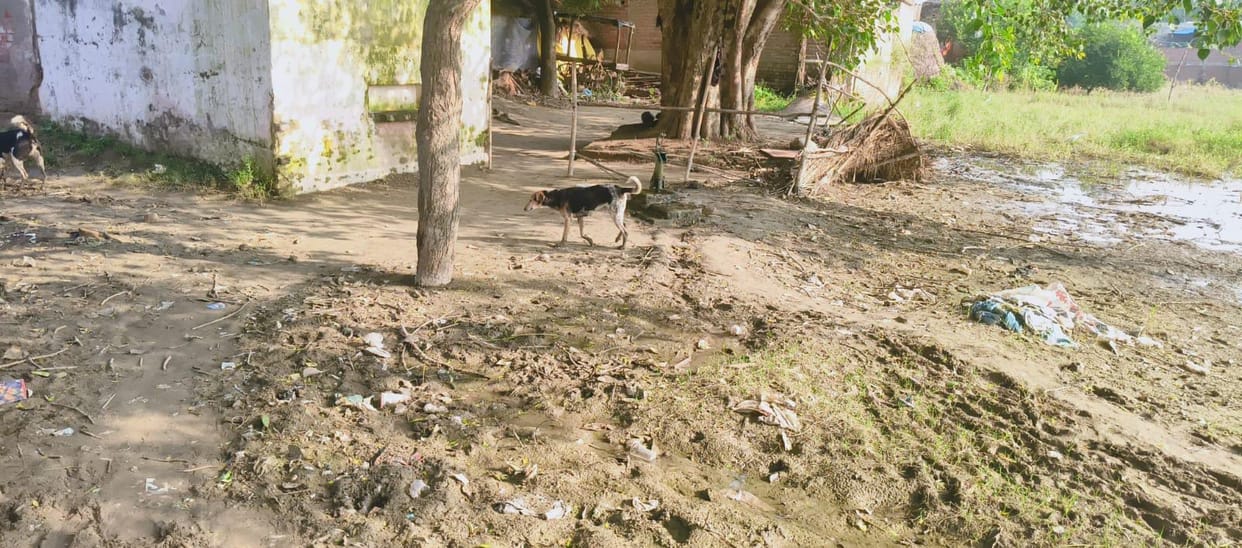 Filth and disease have compounded the suffering of flood victims.
