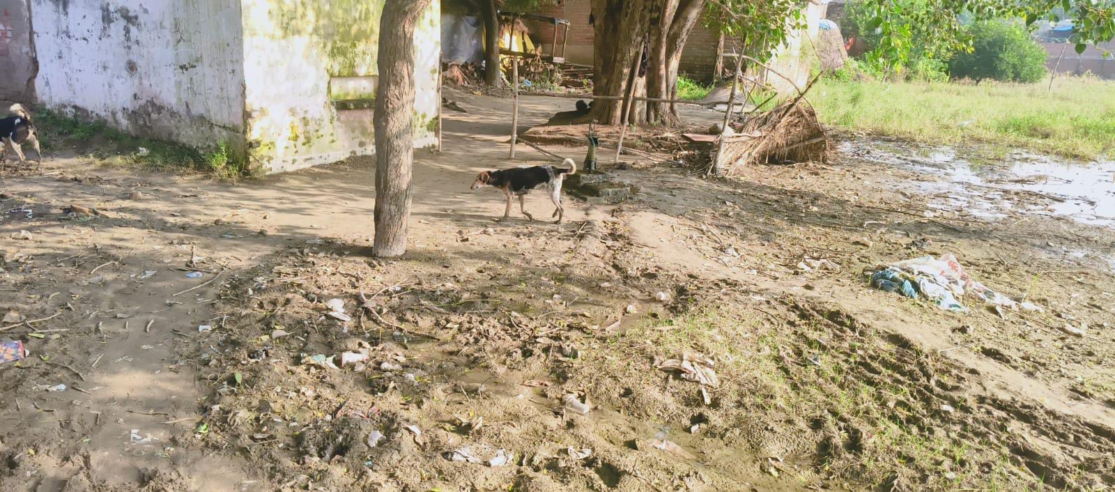 फोटो 34: पानी घटने के बाद गांवों के आसपास गंदगी। संवाद