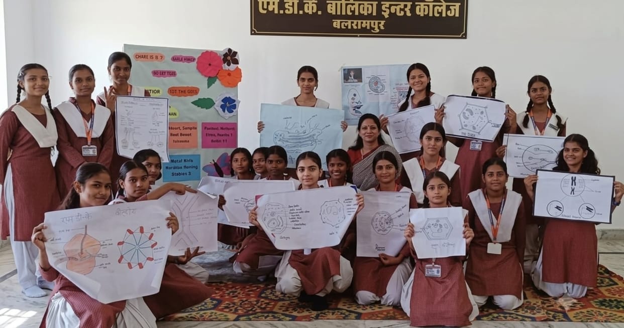 Female students understood cell structure through projects and models