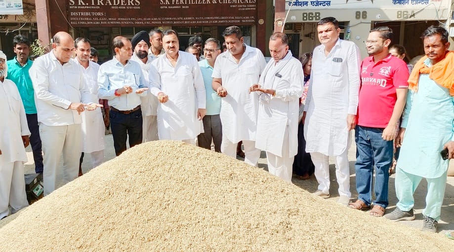 Trader leader Garg checked on the procurement of rice and millet, government purchasing to start soon