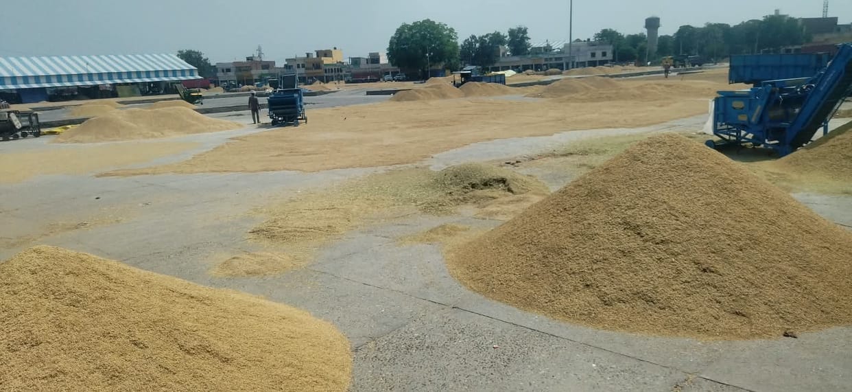 Paddy procurement to take place at the district's 22 grain markets; gunny bags have arrived.