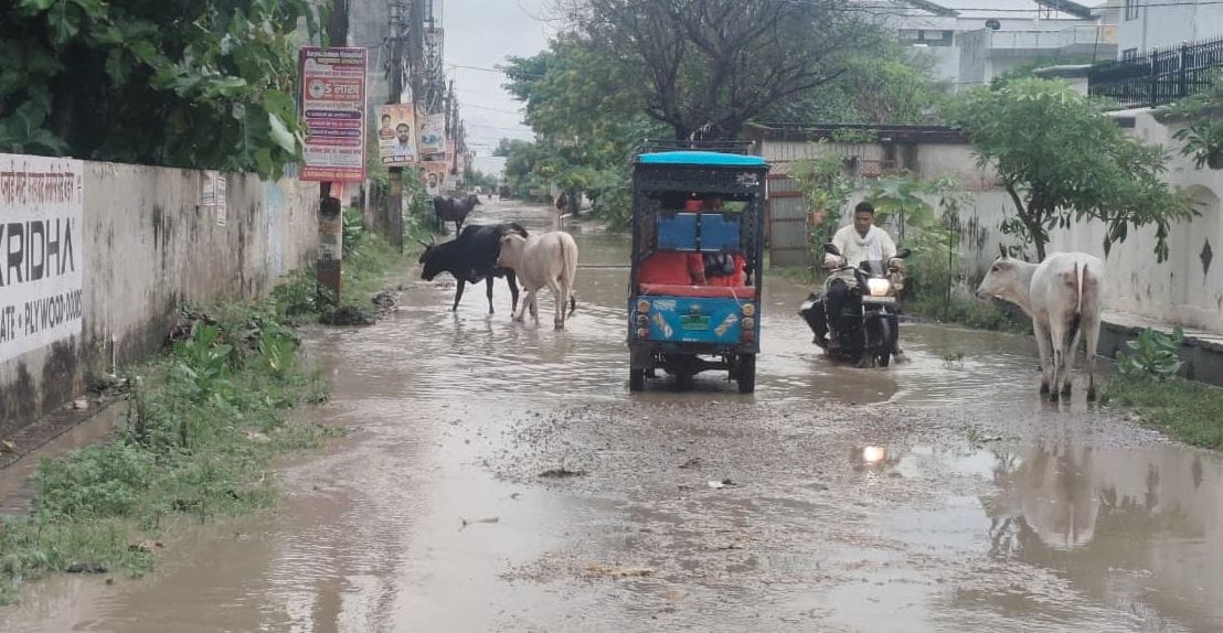 It is not the rain, but mismanagement that is causing deadly potholes on the roads.