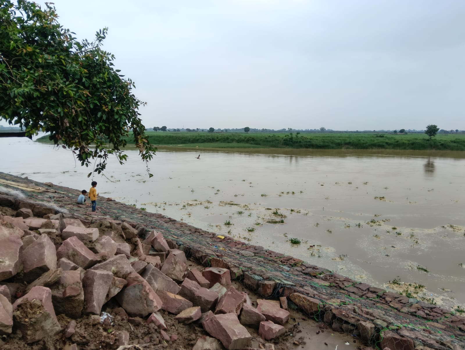 मेंहदावल में घट रहा राप्ती का जल स्तर-संवाद