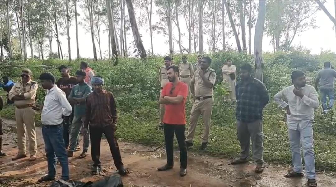 Tree falls on laborer while felling; dies on the spot; questions raised regarding safety measures.