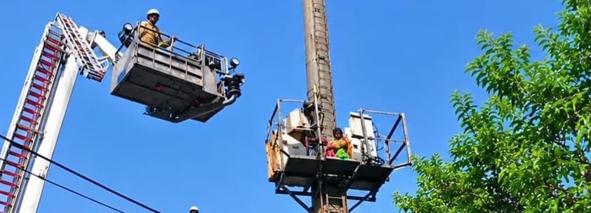 Woman climbed tower; police brought her down.