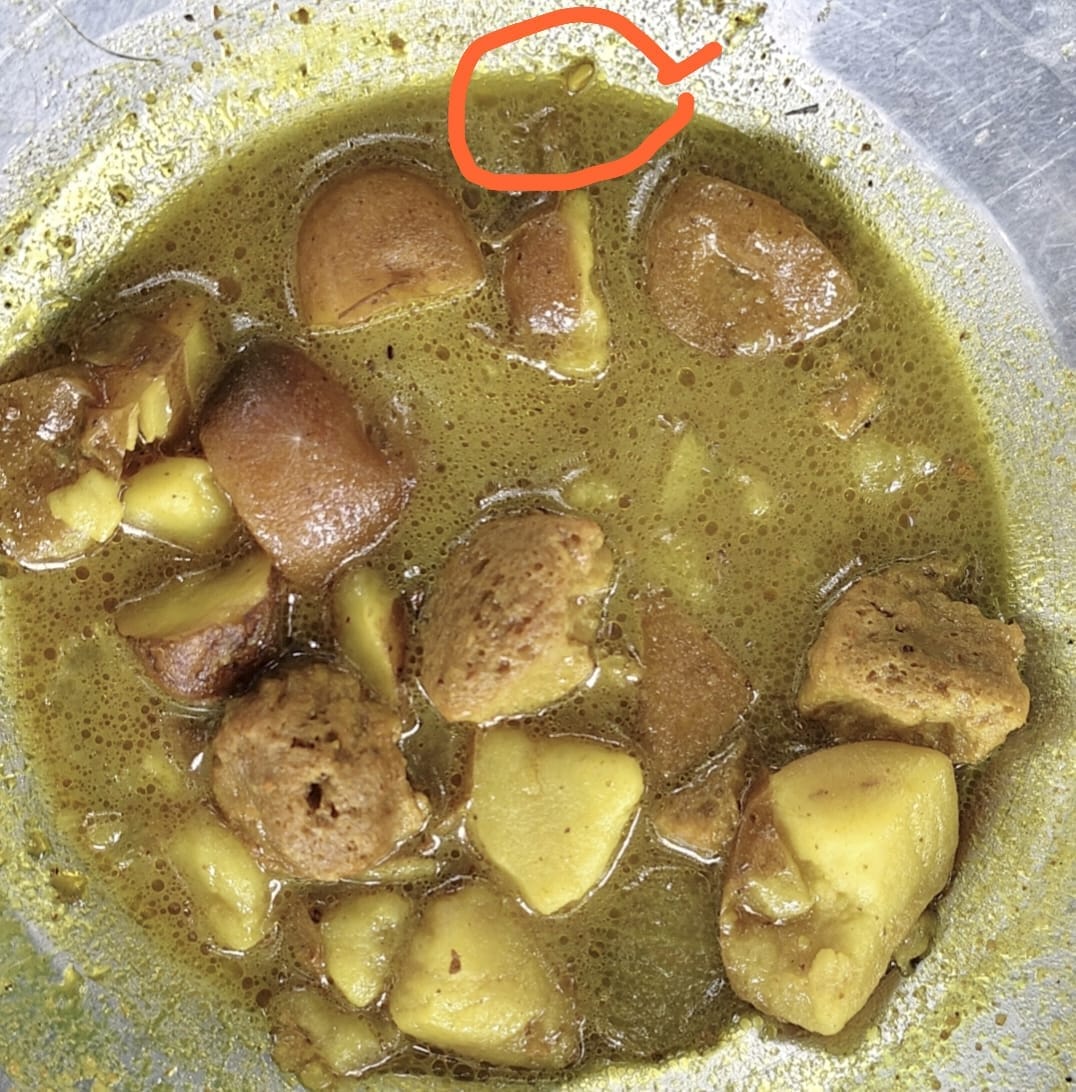 Worms found in MDM vegetable dish; children stopped eating.