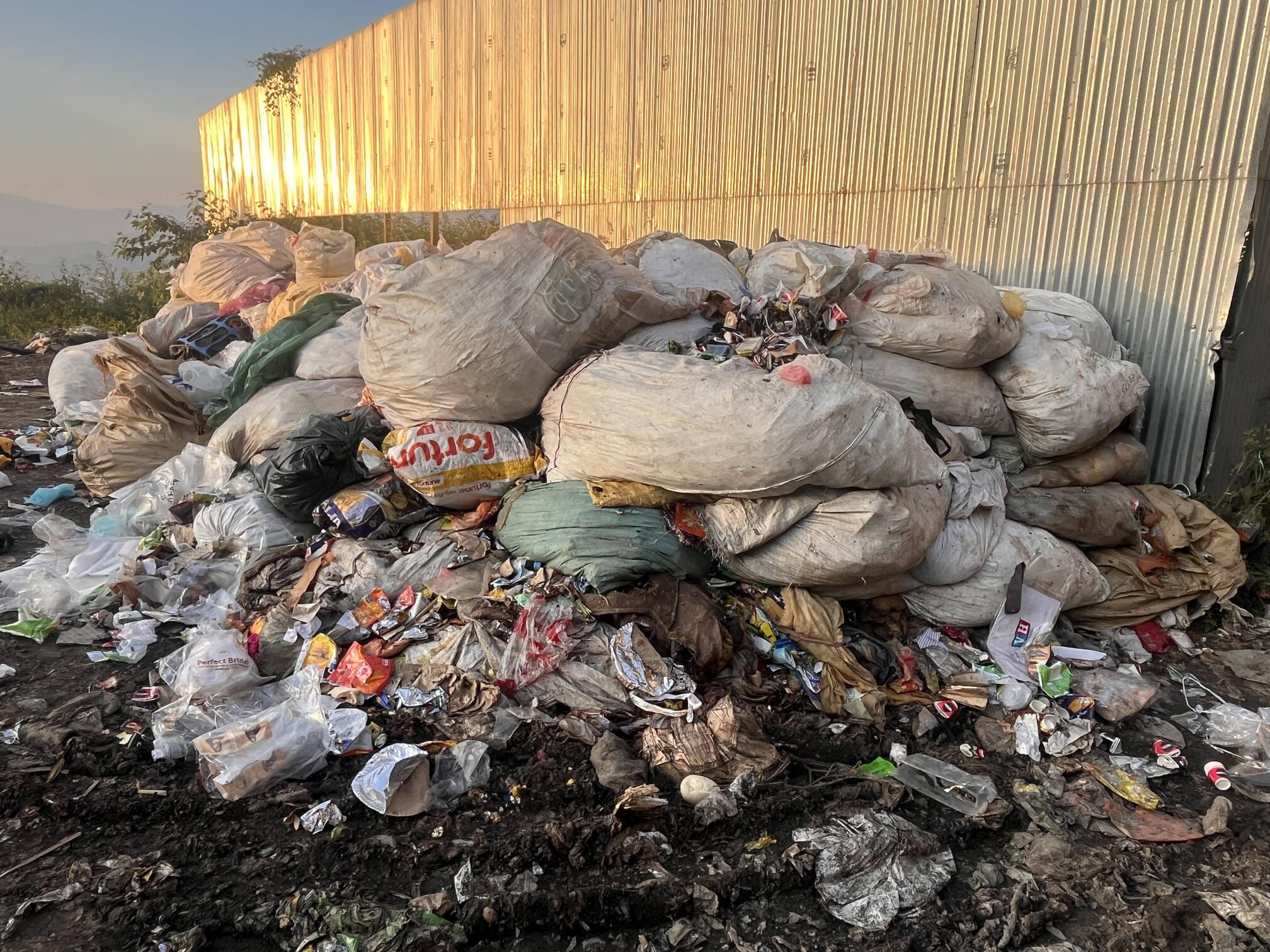 ठियोग में जंगल में ठिकाने लगाया कचरा, जिसे नगर परिषद ने उठवाया। संवाद
