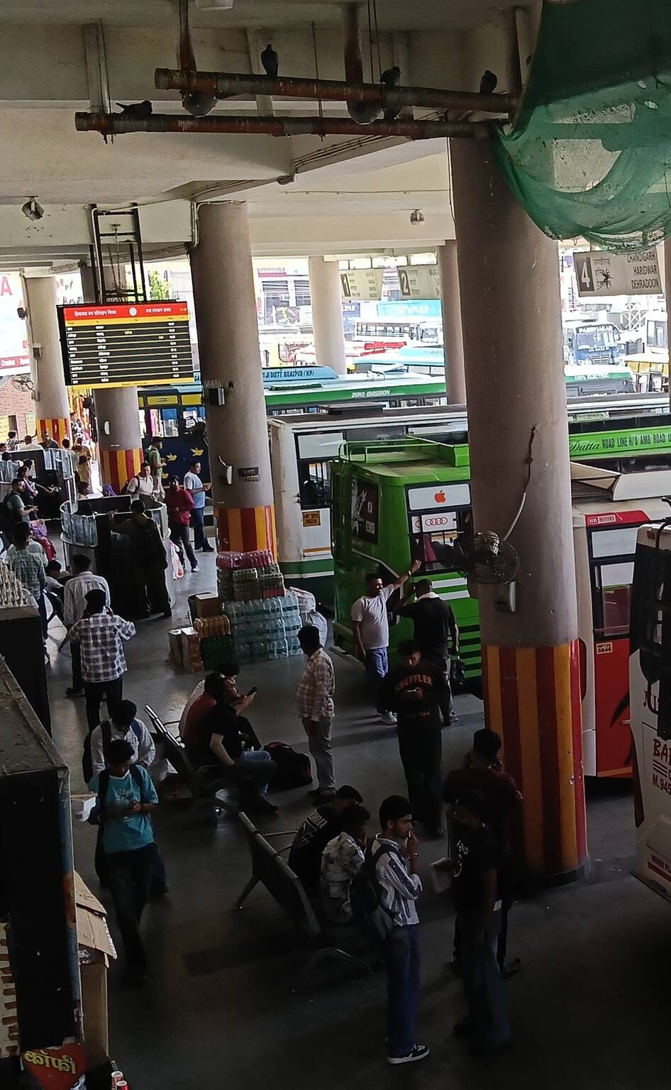Pigeons roost on ISBT roof; passengers below face trouble.