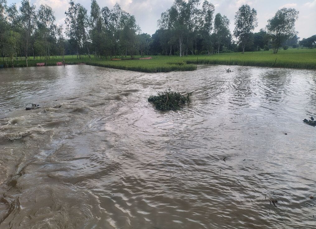 Canal bank breached; 400 bighas of crops submerged.