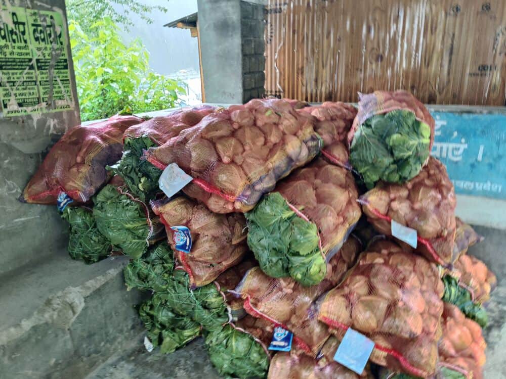Bumper vegetable harvest, prices disappoint.