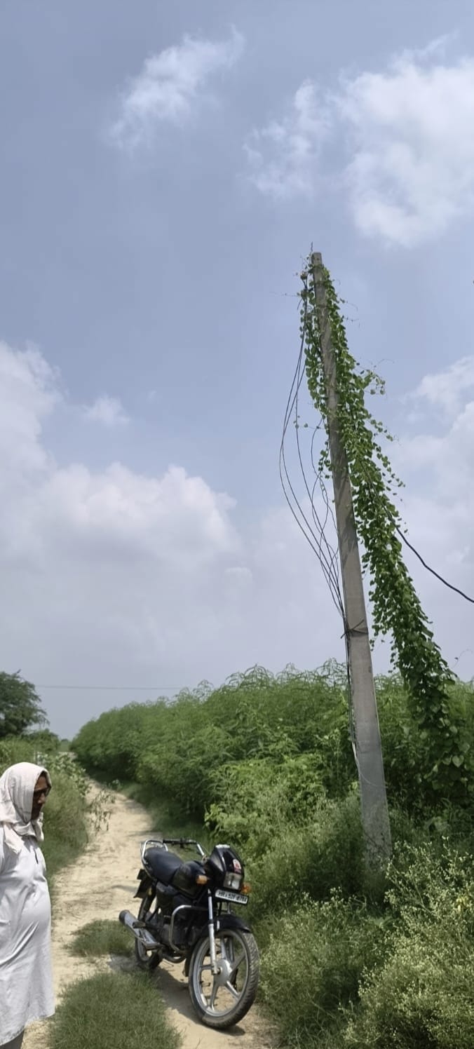 Stolen electricity wires not replaced; irrigation affected.
