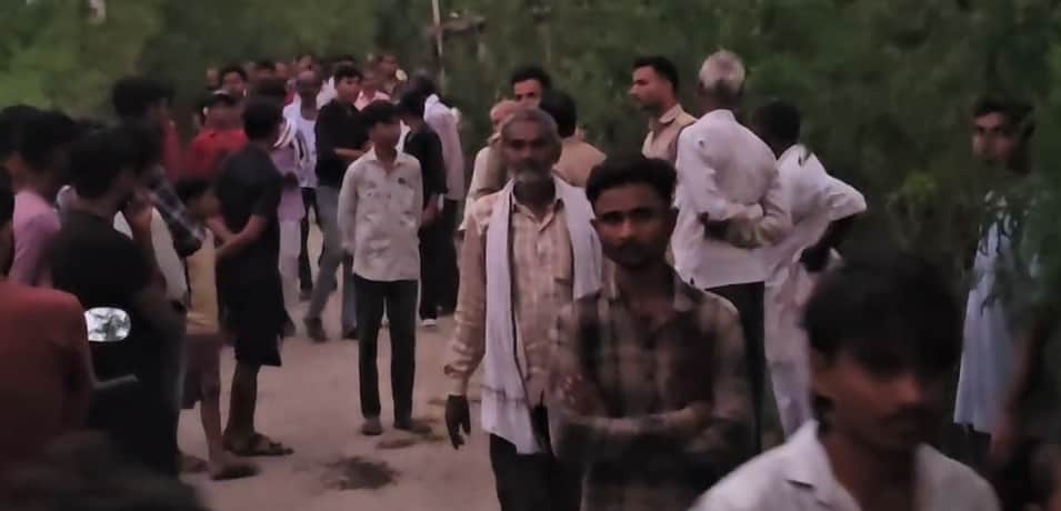 Uproar over alleged hunting of Nilgai