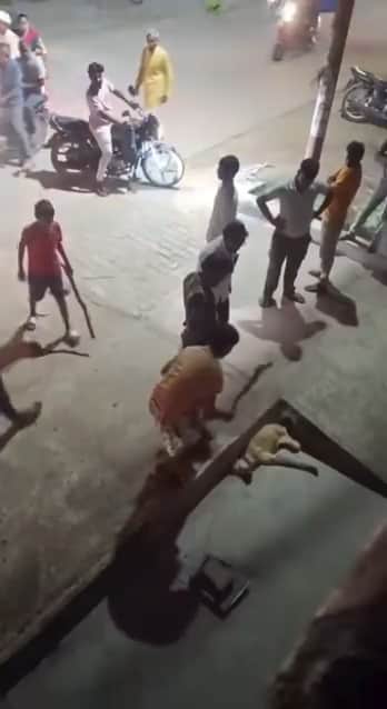 Video of dog being beaten to death with a stick goes viral; FIR registered against youth