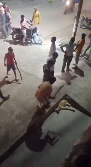 Video of dog being beaten to death with a stick goes viral; FIR registered against youth