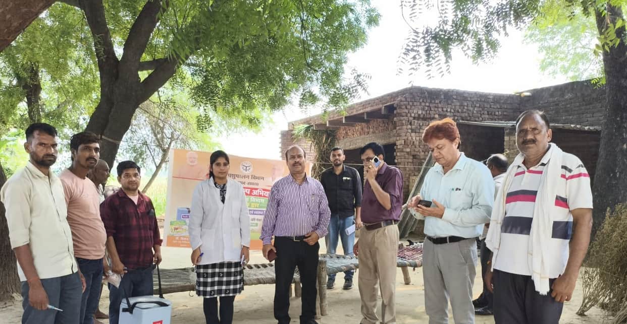 The team treated sick cattle.