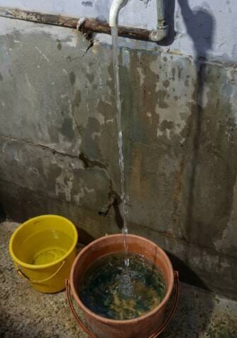 Not water, but gulping down filth.