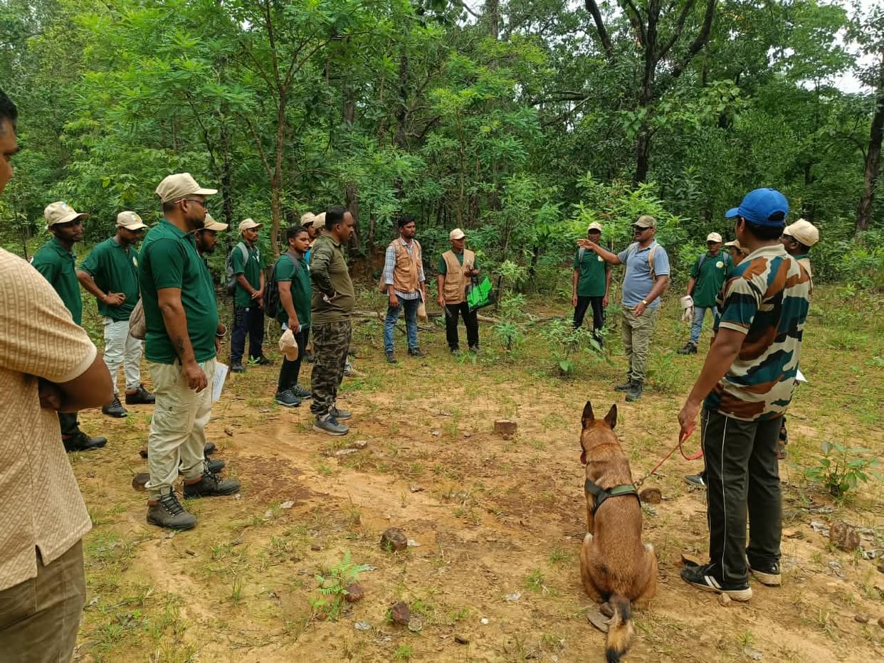 Mock drill held at Indravati Tiger Reserve to crack down on poachers; practice session conducted on investigat