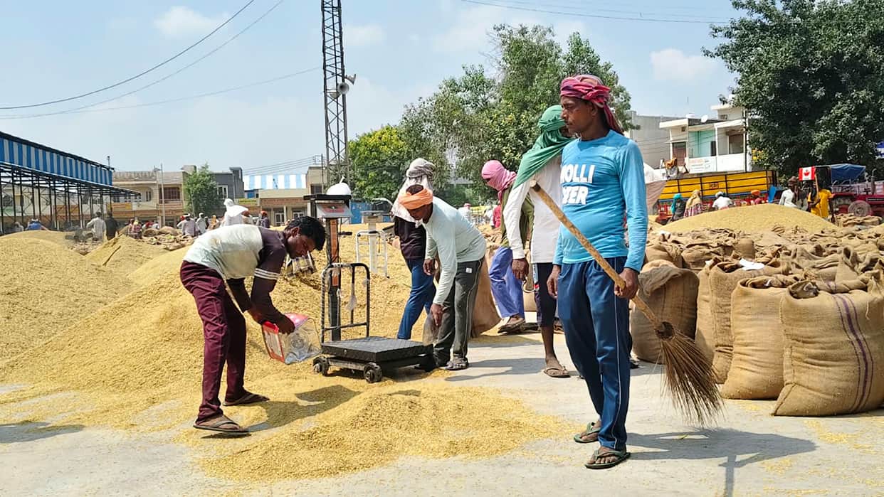 Farmers distressed due to lack of paddy procurement in mandis.