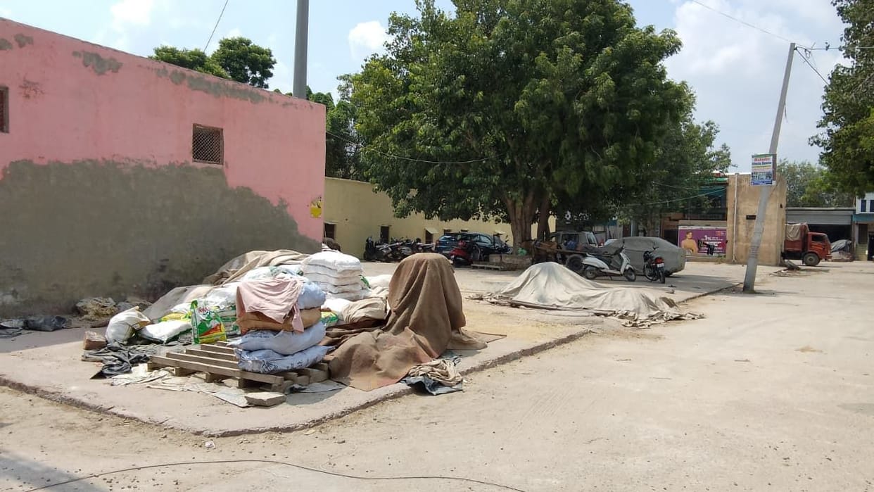 Crop ready, market in disarray... how will pearl millet be procured?