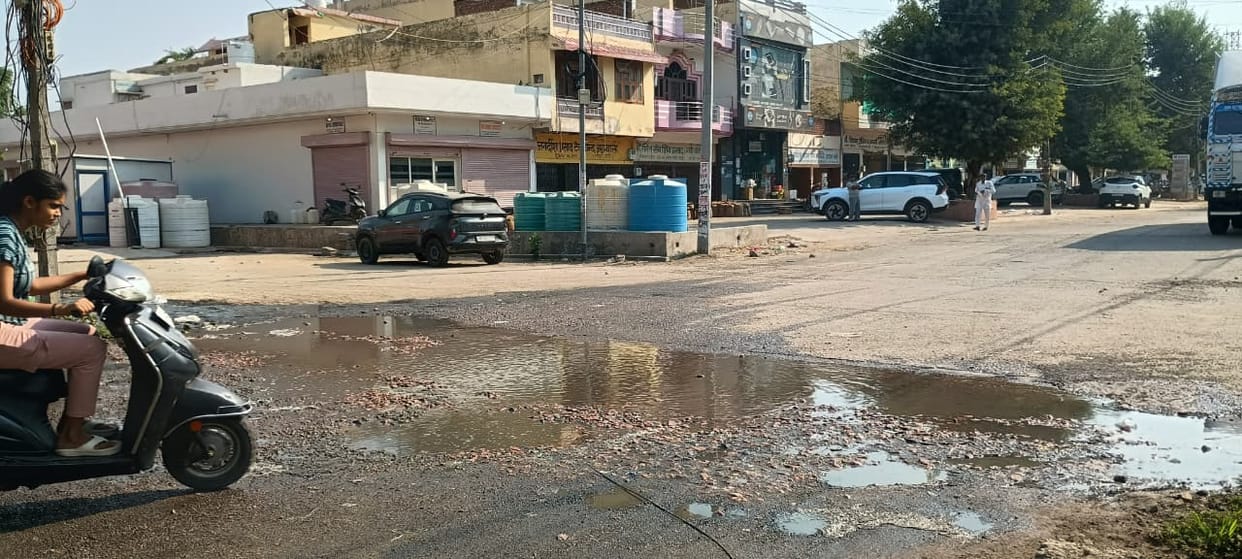 Stray animals damaging crops in the open market; encroachments