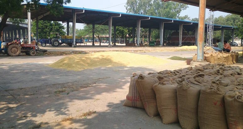 So far, 26,000 quintals of paddy have been purchased in Mohana Mandi.